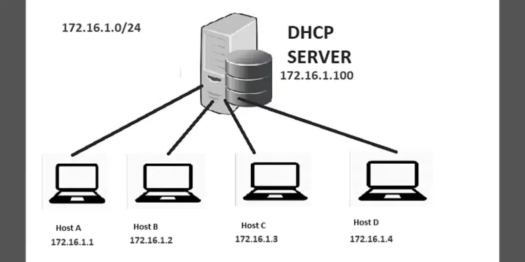 dhcp server