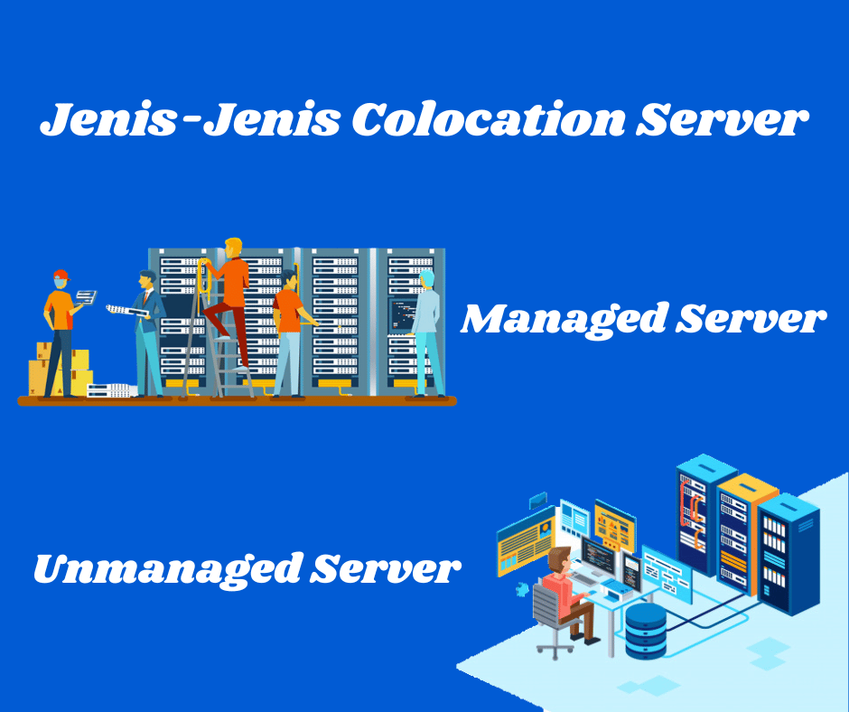 Jenis-jenis Colocation Server