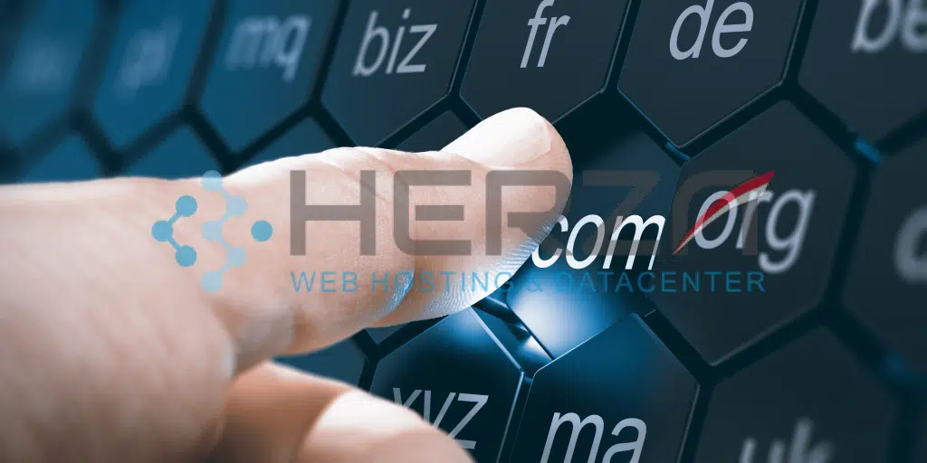 Apa itu Domain Pengertian, Fungsi serta Jenisnya