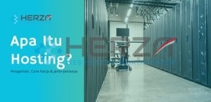 apa itu hosting