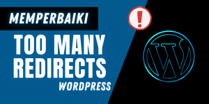 error too many redirect