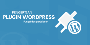 Apa itu Plugin Pengertian dan Fungsi Plugin!