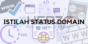 Macam-macam Status Domain