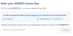 AIOSEO License Key