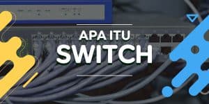 Fungsi Switch